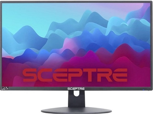 Sceptre 20” E205W-16003R Monitor